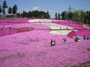 ��ʌ������̎ō�