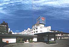石和温泉 ホテルふじ 外観